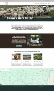 Bruner Hair Sheep Website Image