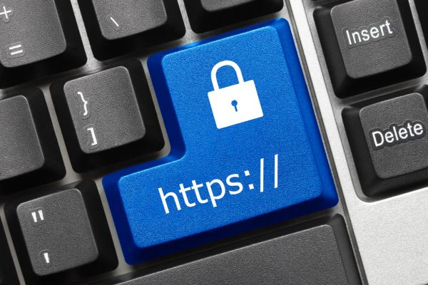 Website Hosting Services